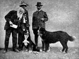 Historia del Boyero de Berna