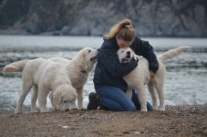 Criadero Serce Poludnia