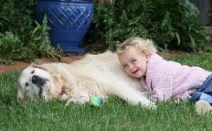 Jugar con mascotas produce felicidad