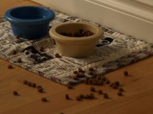 Los perros y su correcta alimentación