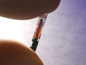 Sistema de rastreo para perros