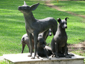 El Xoloitzcuintle en Mesoamérica