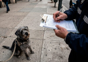 ¿Qué hacer si te muerde un perro? Primeros auxilios y pasos legales